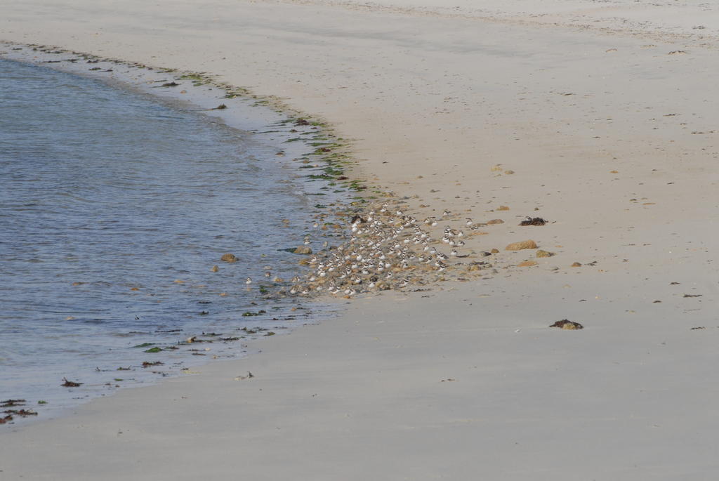 Holiday home Roulotte O Bien-etre: Beachside Wellness Retreat *